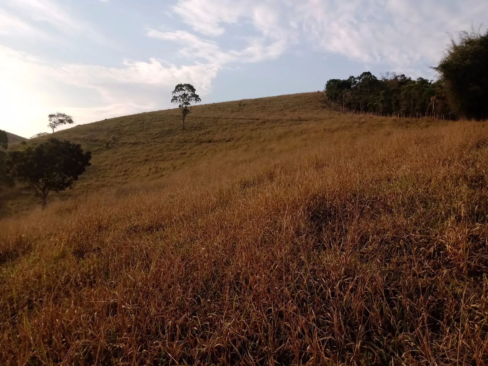 Plot for sale of 48 acres in São José dos Campos, SP, Brazil