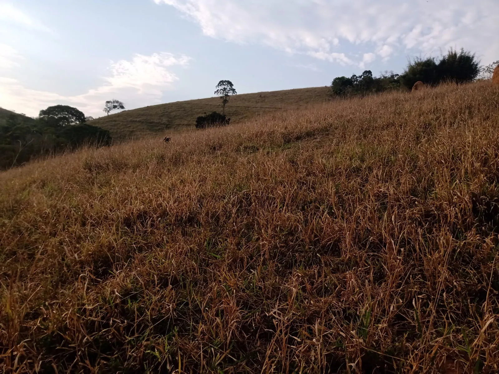 Plot for sale of 48 acres in São José dos Campos, SP, Brazil