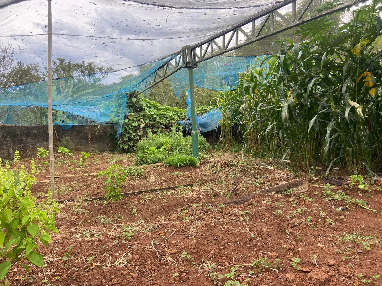 Country home for sale of 2 acres in Cunha, SP, Brazil