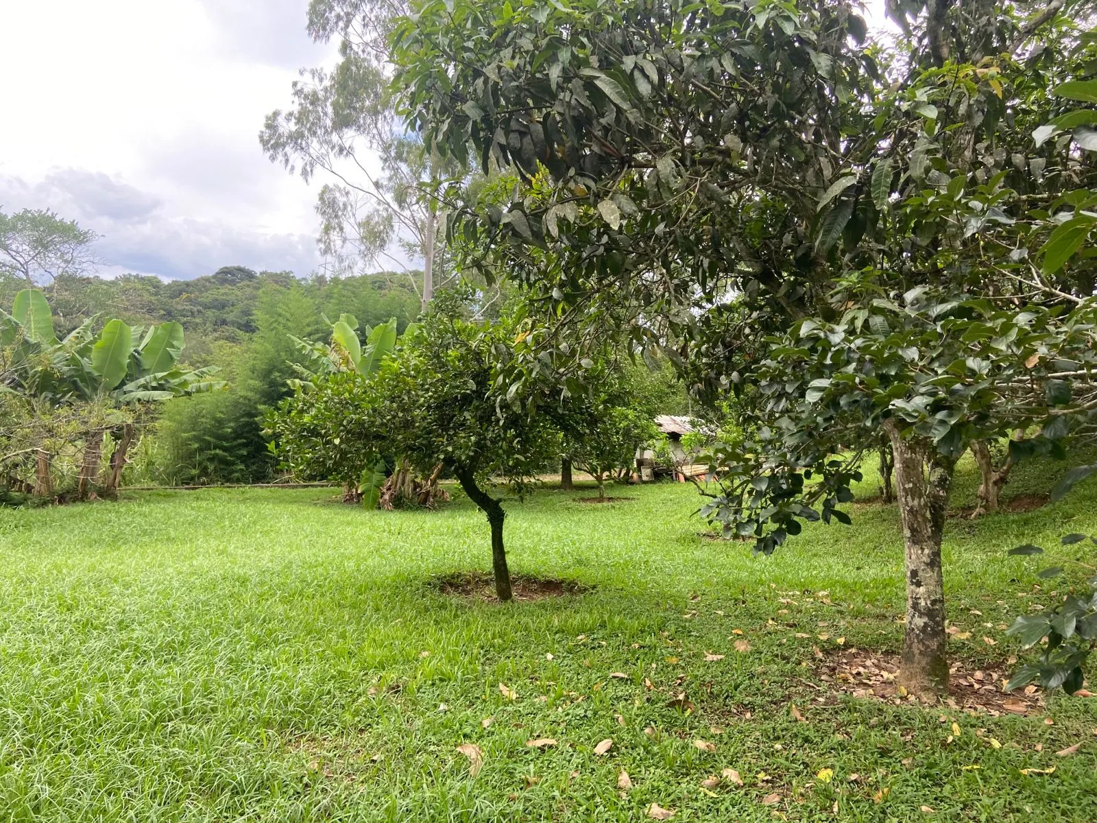 Country home for sale of 2 acres in Cunha, SP, Brazil