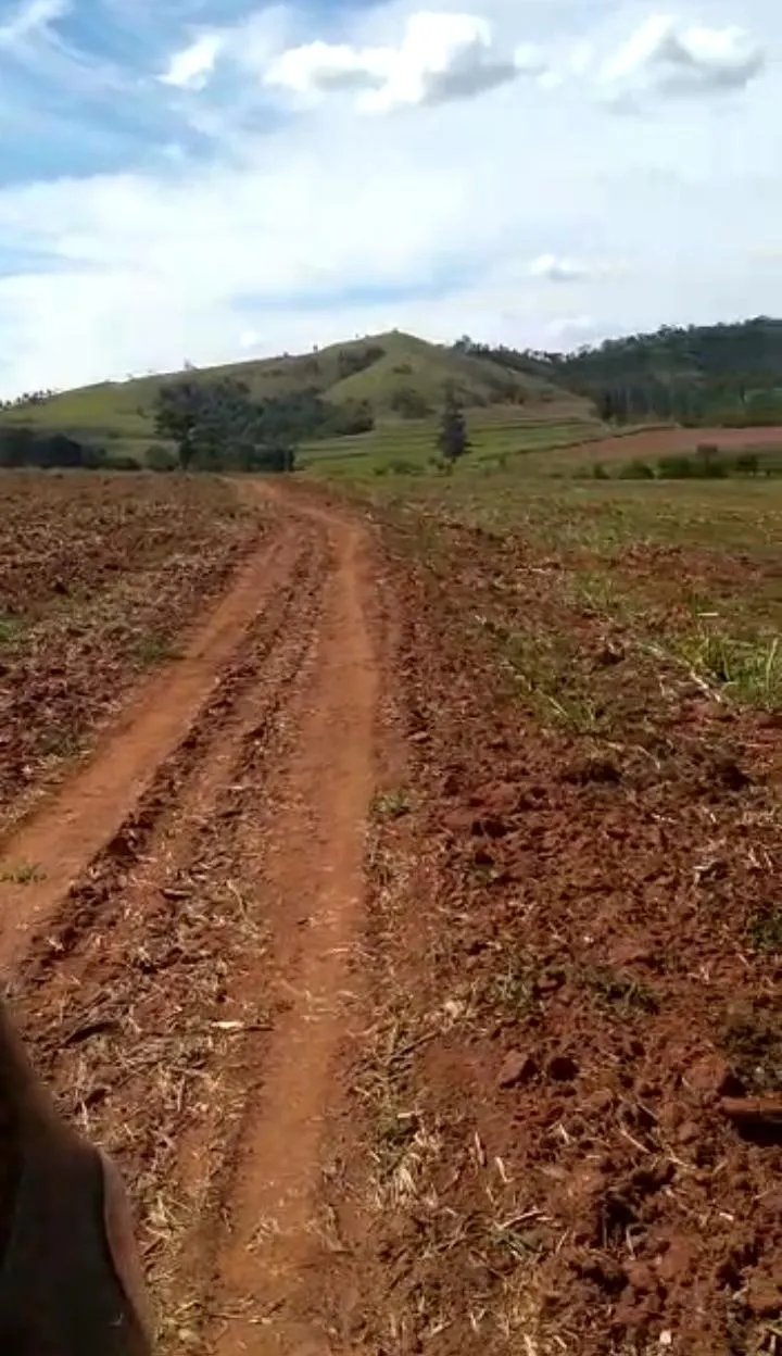 Farm for sale of 251 acres in Itapira, SP, Brazil