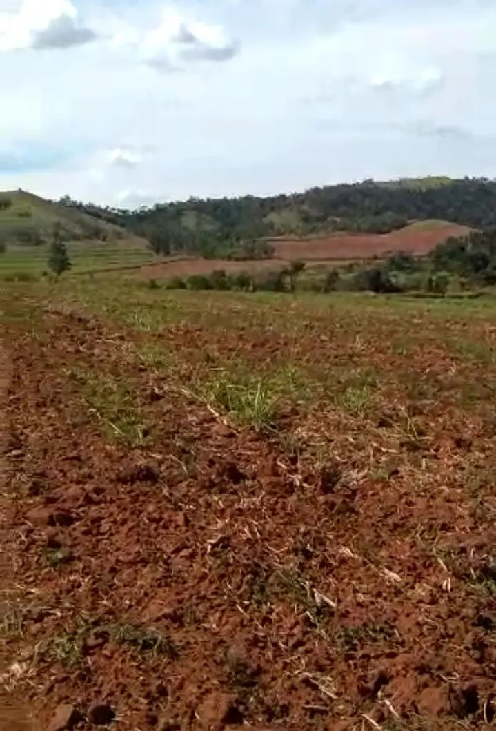 Farm for sale of 251 acres in Itapira, SP, Brazil