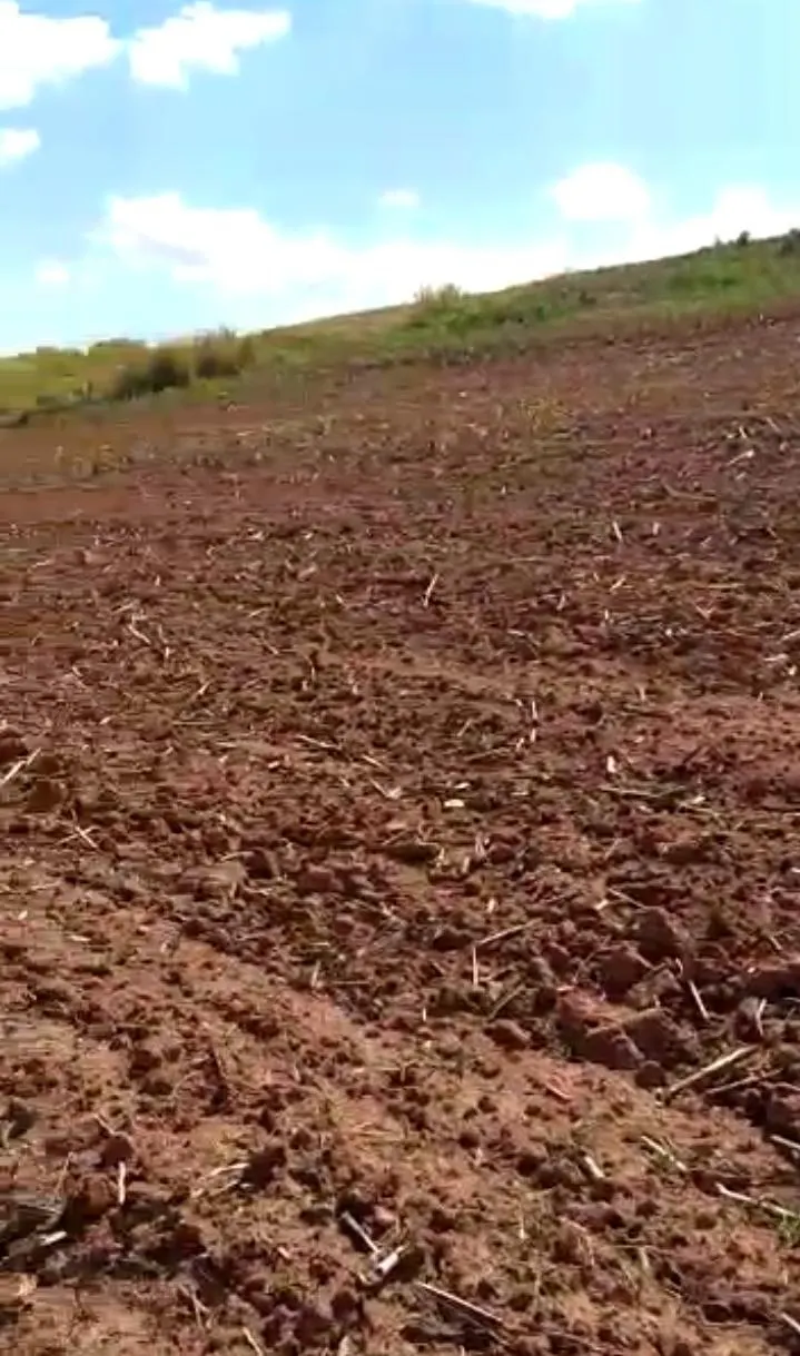 Farm for sale of 251 acres in Itapira, SP, Brazil