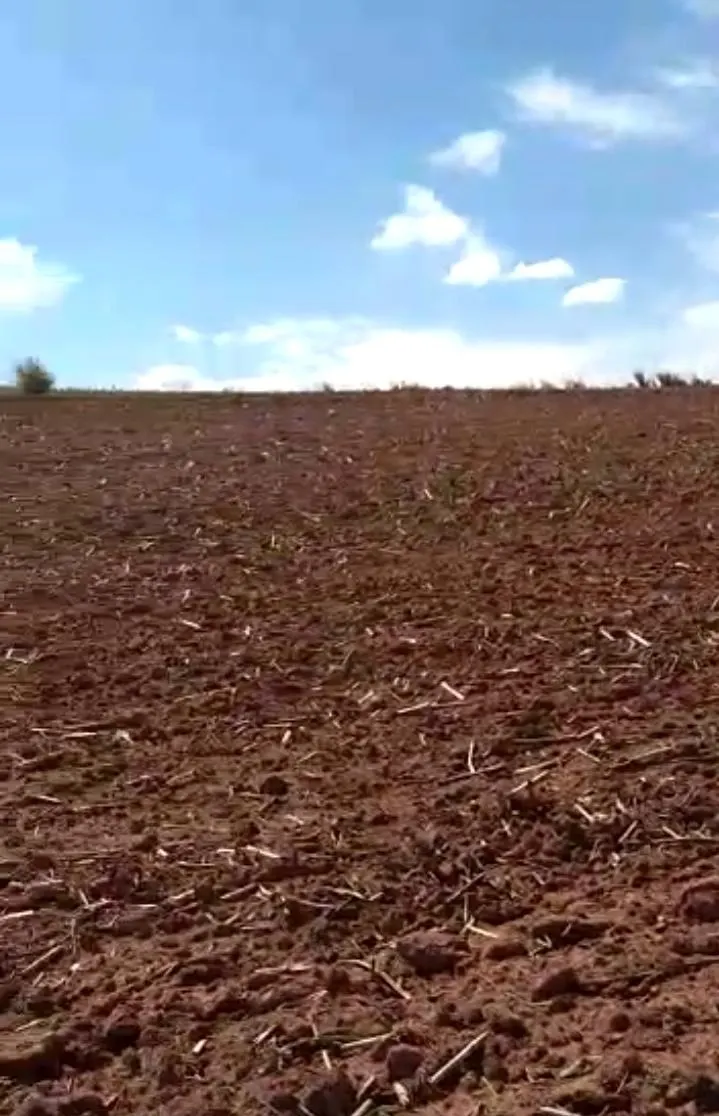 Fazenda à venda de 102 ha em Itapira, SP, Brasil
