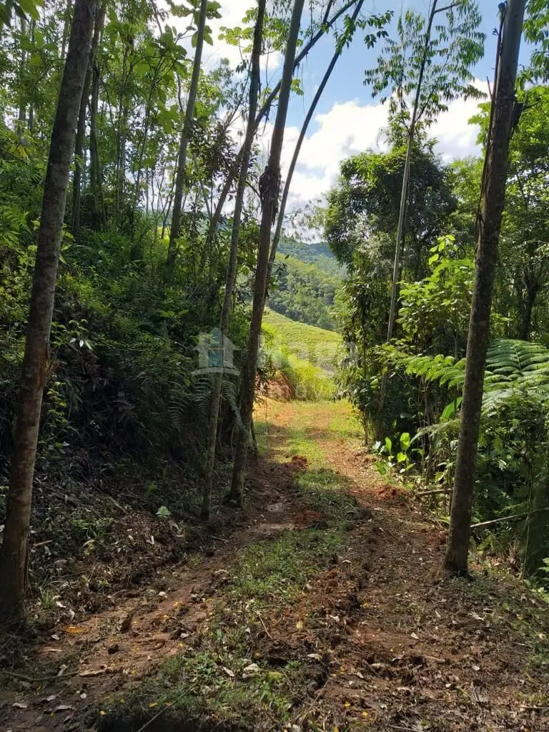 Farm for sale of 17 acres in Nova Trento, SC, Brazil