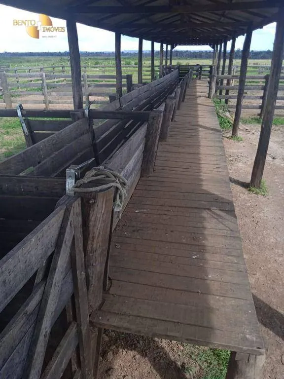 Fazenda à venda de 884 ha em Marcelândia, MT, Brasil