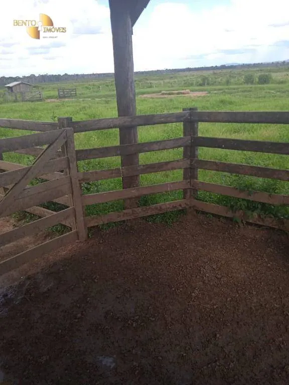 Fazenda à venda de 884 ha em Marcelândia, MT, Brasil