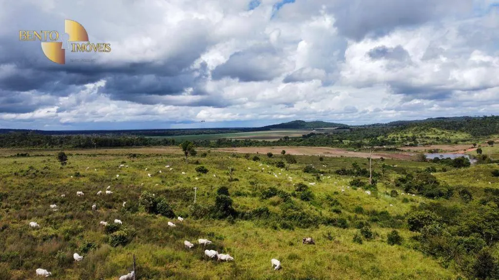 Fazenda à venda de 884 ha em Marcelândia, MT, Brasil