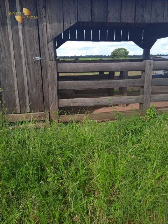 Fazenda à venda de 884 ha em Marcelândia, MT, Brasil