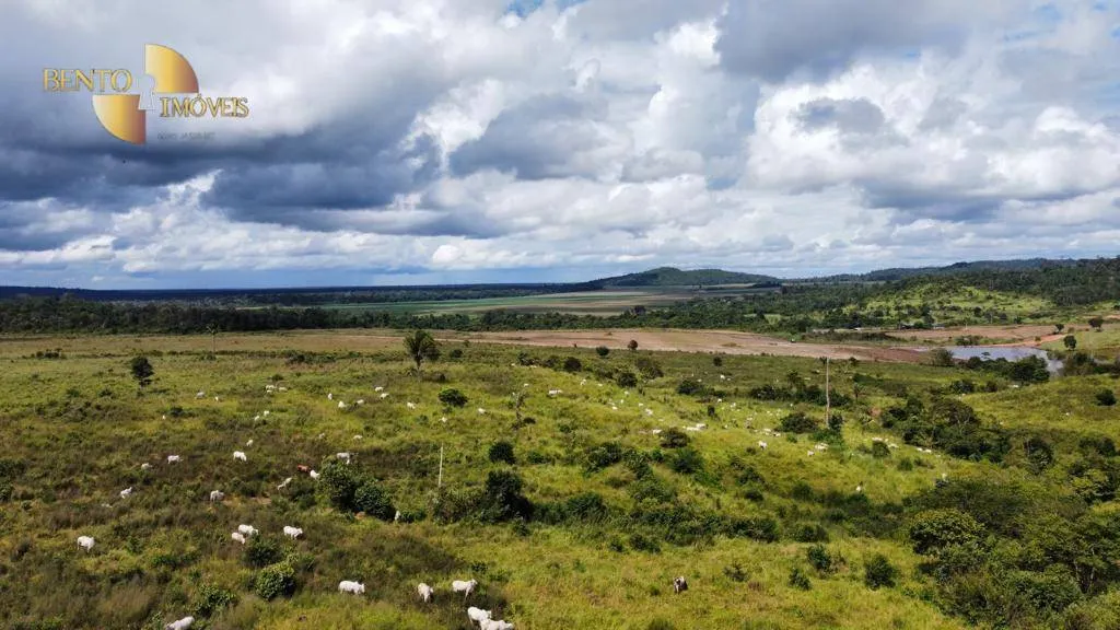 Fazenda à venda de 884 ha em Marcelândia, MT, Brasil