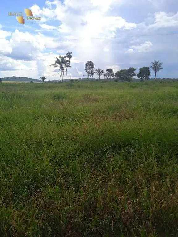 Fazenda à venda de 884 ha em Marcelândia, MT, Brasil