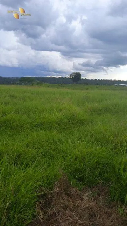 Fazenda à venda de 884 ha em Marcelândia, MT, Brasil