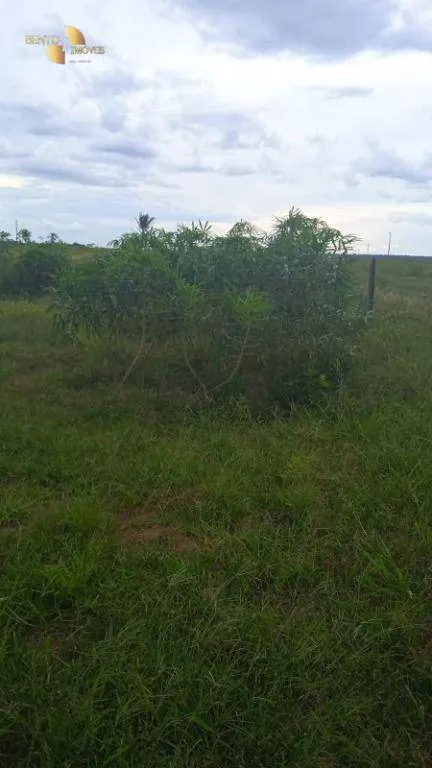 Fazenda à venda de 884 ha em Marcelândia, MT, Brasil