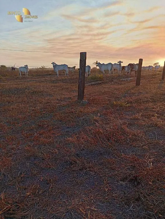 Fazenda à venda de 884 ha em Marcelândia, MT, Brasil