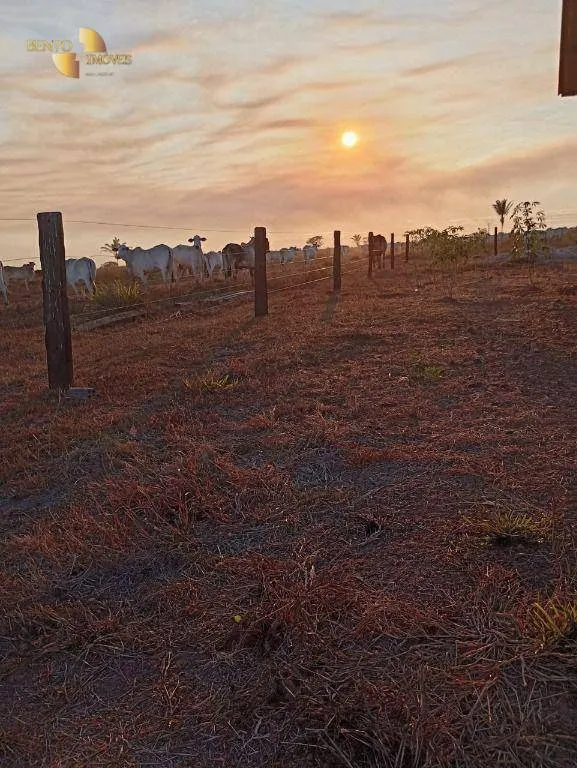 Fazenda à venda de 884 ha em Marcelândia, MT, Brasil