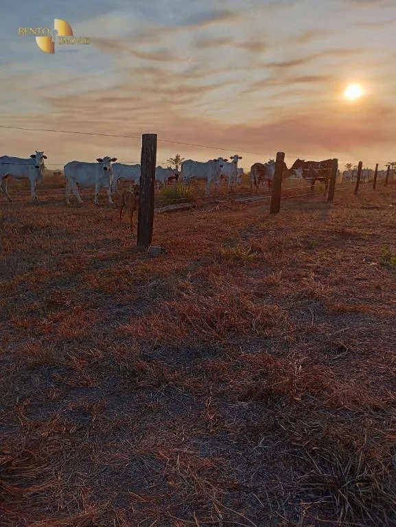 Fazenda à venda de 884 ha em Marcelândia, MT, Brasil