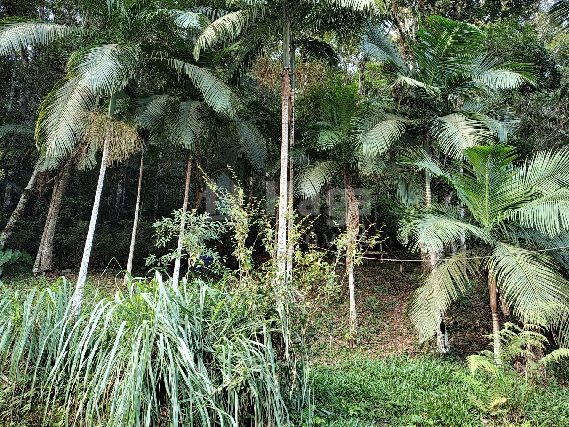 Country home for sale of 2 acres in Itajaí, SC, Brazil