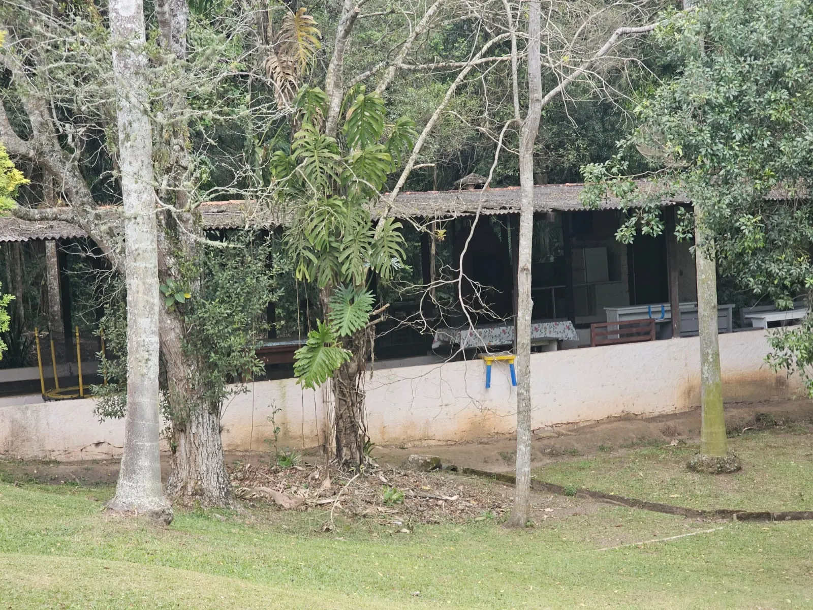 Small farm for sale of 4 acres in São Roque, SP, Brazil