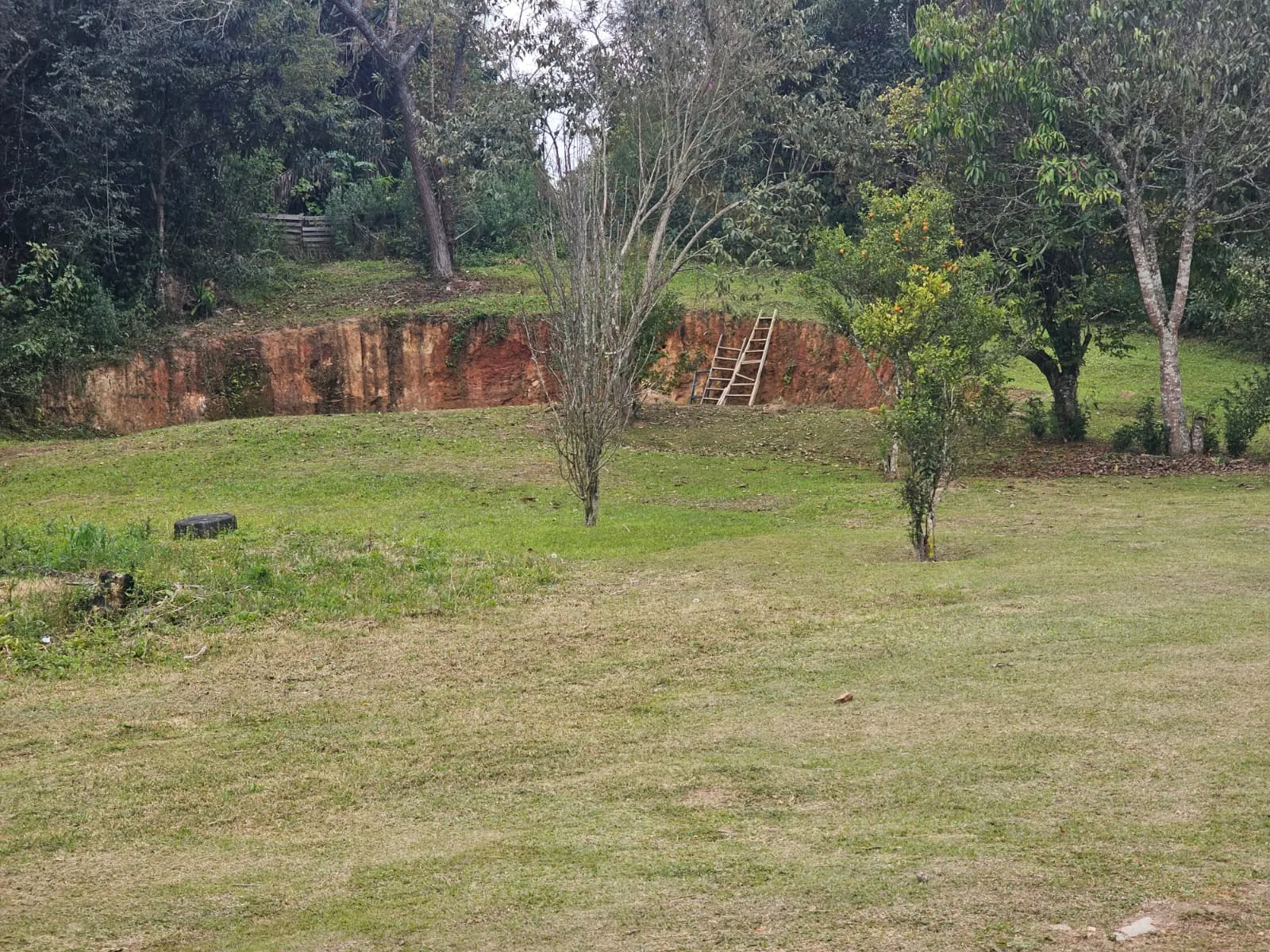 Small farm for sale of 4 acres in São Roque, SP, Brazil