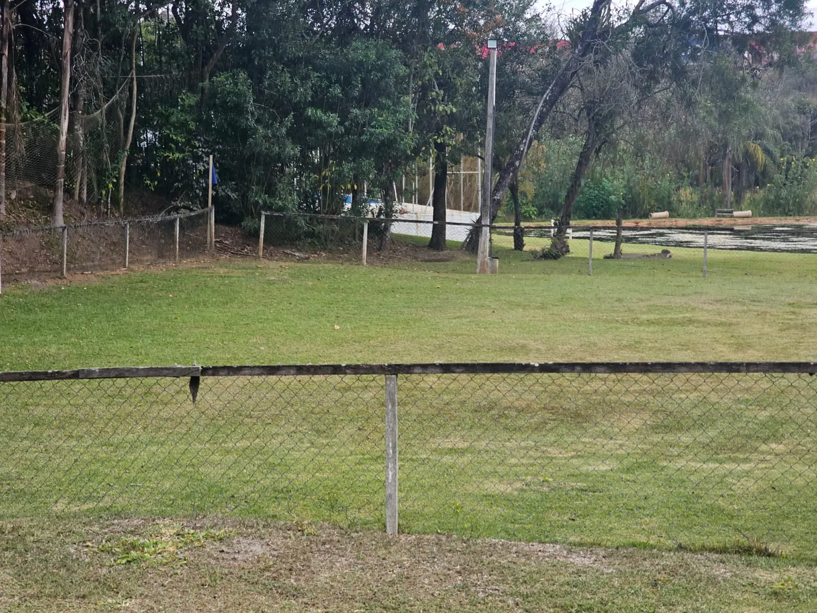 Small farm for sale of 4 acres in São Roque, SP, Brazil