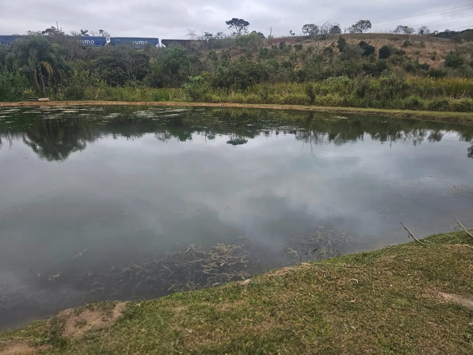 Small farm for sale of 4 acres in São Roque, SP, Brazil