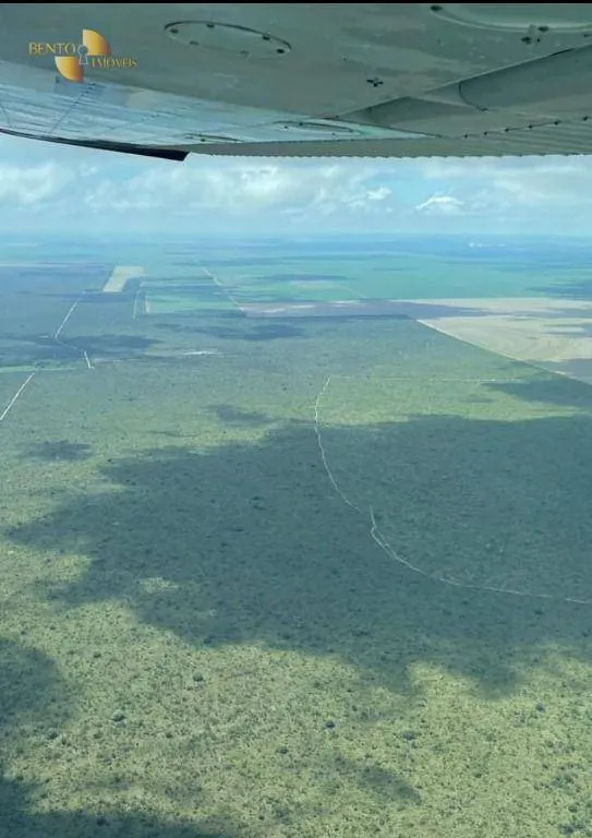 Fazenda à venda de 556 ha em Campo Novo do Parecis, MT, Brasil