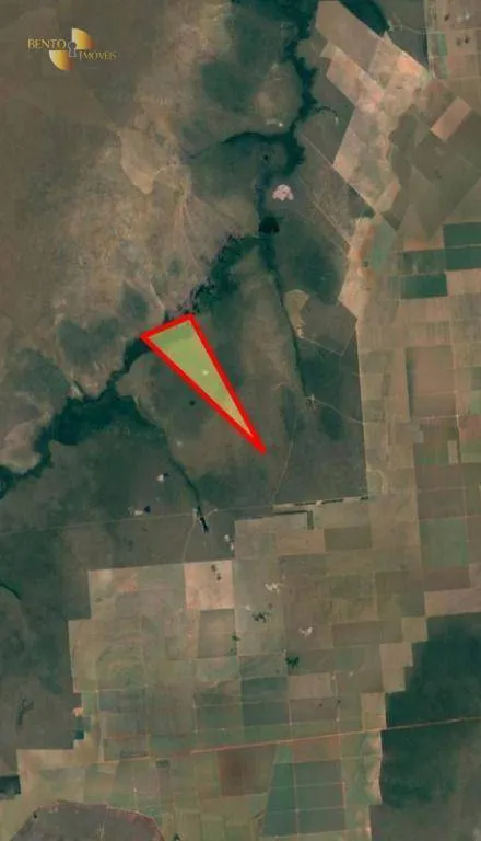 Fazenda à venda de 556 ha em Campo Novo do Parecis, MT, Brasil