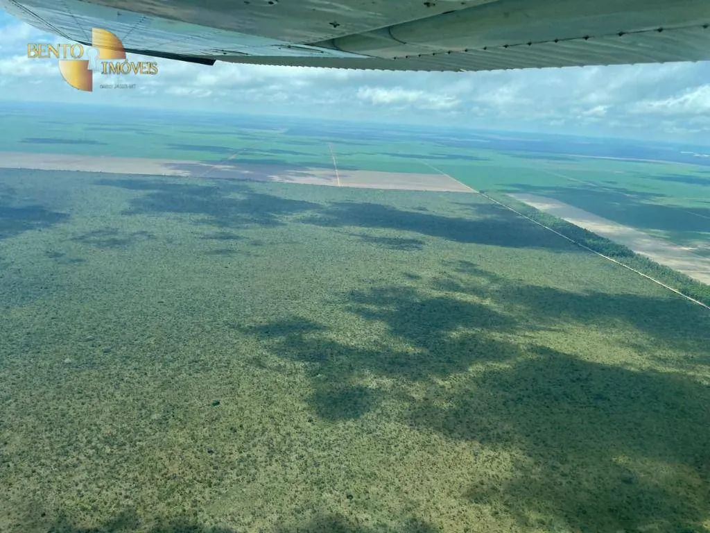 Fazenda à venda de 556 ha em Campo Novo do Parecis, MT, Brasil