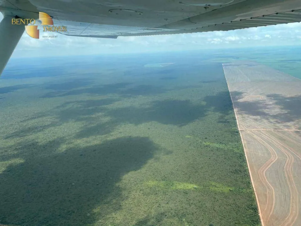 Fazenda à venda de 556 ha em Campo Novo do Parecis, MT, Brasil