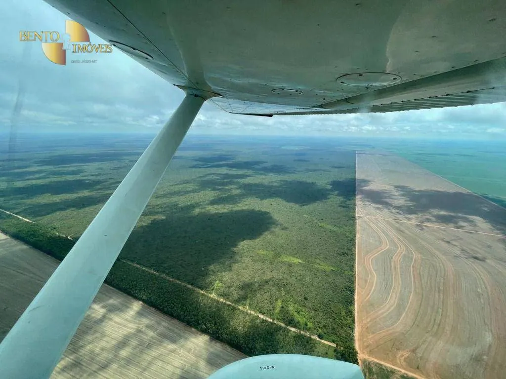 Fazenda à venda de 556 ha em Campo Novo do Parecis, MT, Brasil