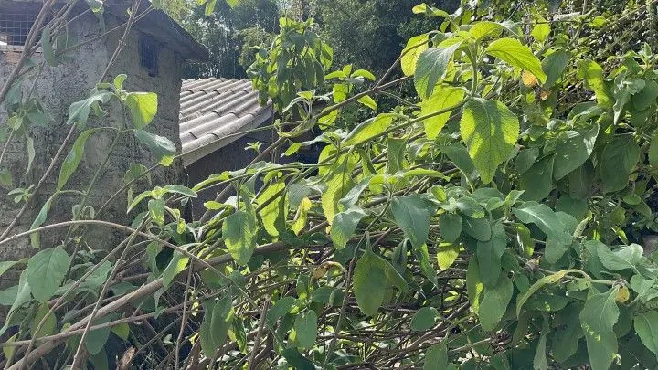 Plot for sale of 300 m² in Santo Antônio da Patrulha, RS, Brazil