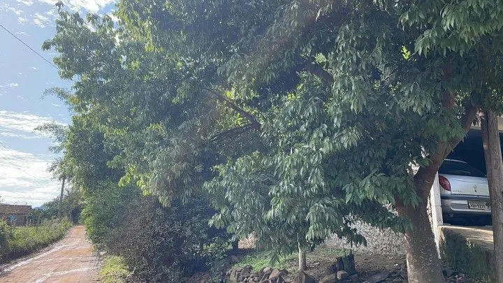 Plot for sale of 300 m² in Santo Antônio da Patrulha, RS, Brazil