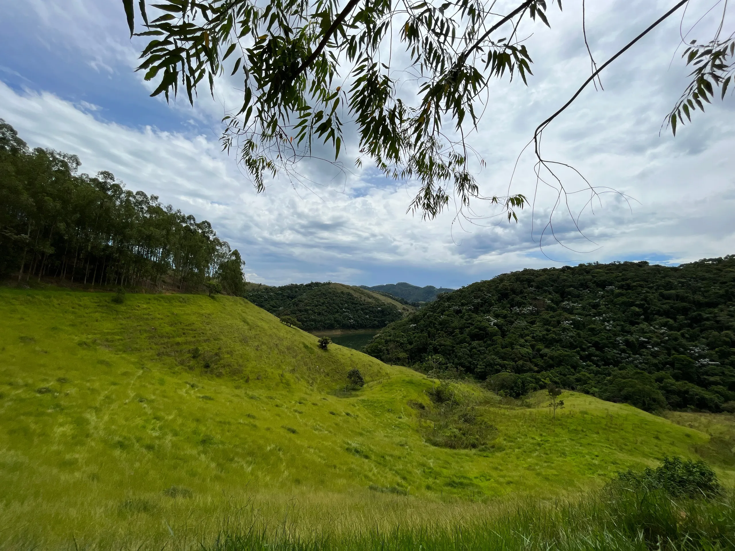 Fazenda à venda de 339 ha em Natividade da Serra, SP, Brasil