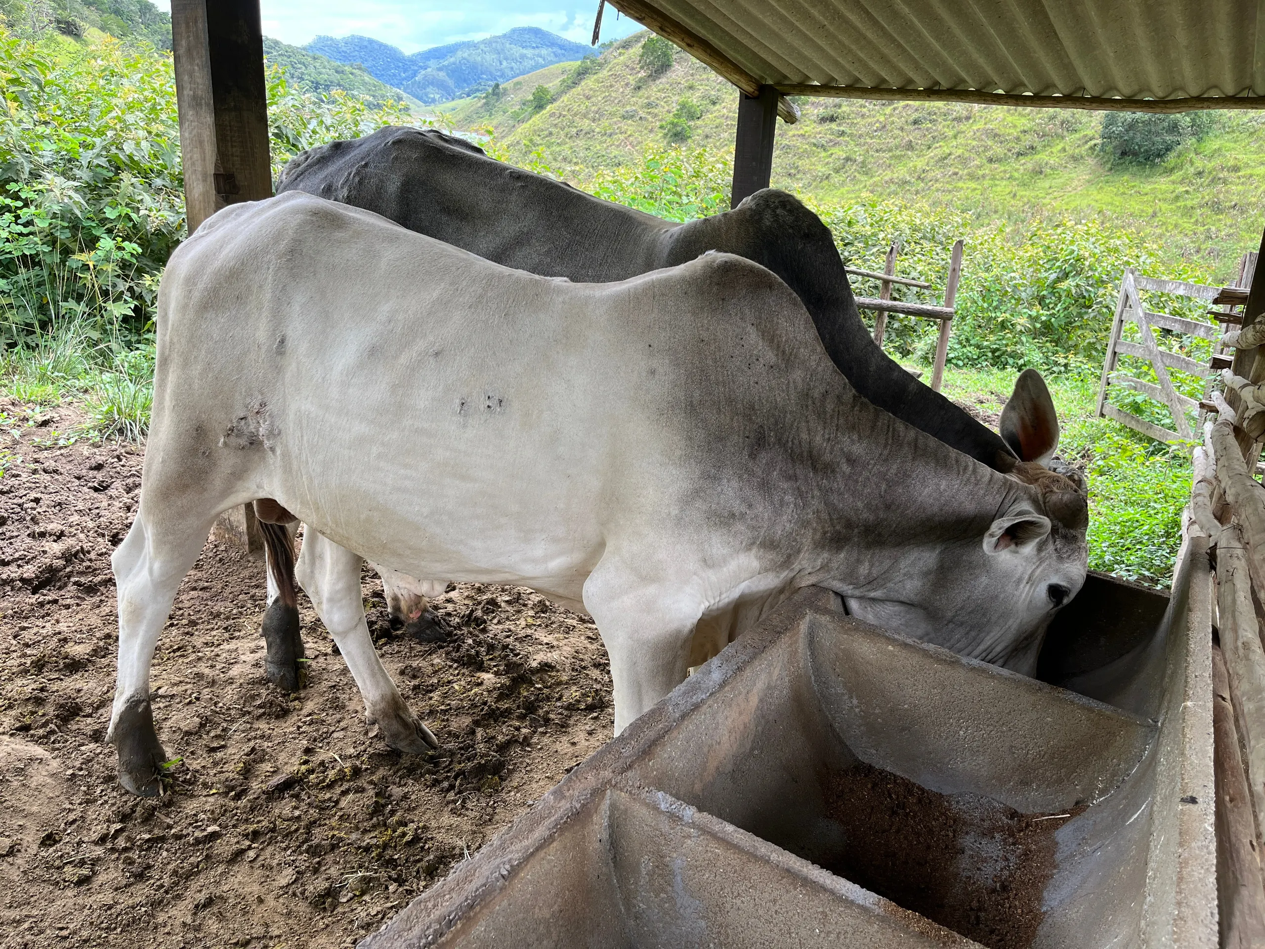 Fazenda à venda de 339 ha em Natividade da Serra, SP, Brasil