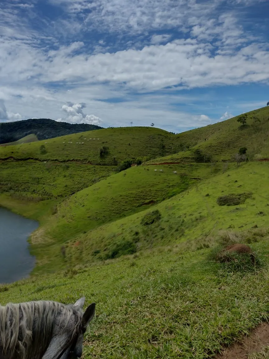 Fazenda à venda de 339 ha em Natividade da Serra, SP, Brasil
