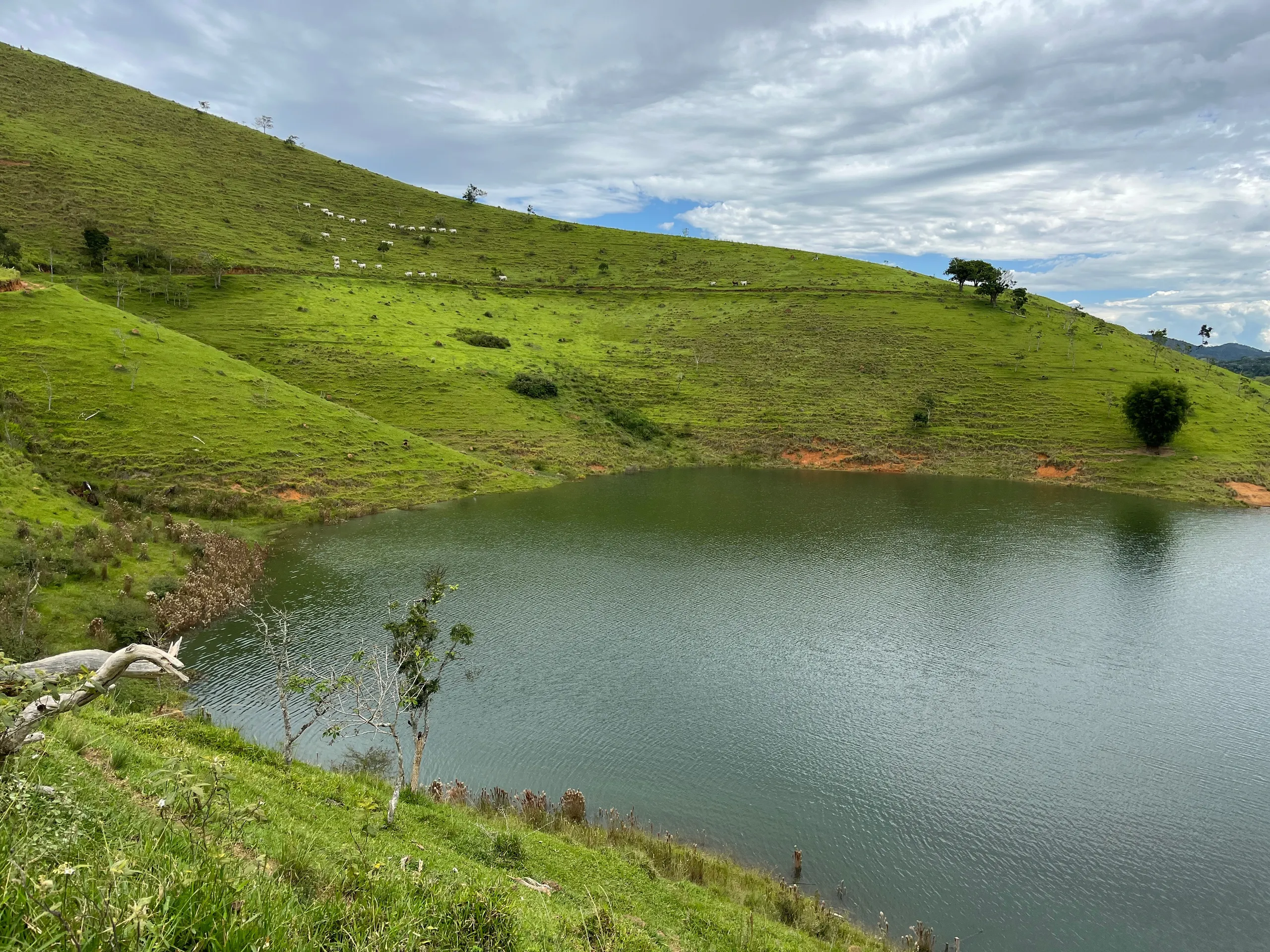 Fazenda à venda de 339 ha em Natividade da Serra, SP, Brasil