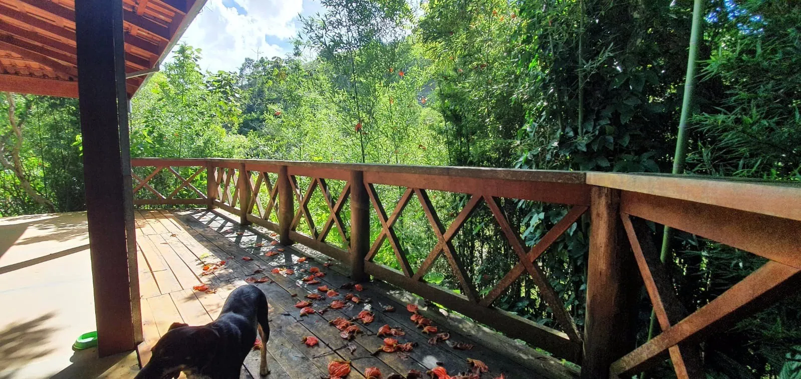 Fazenda à venda de 339 ha em Natividade da Serra, SP, Brasil