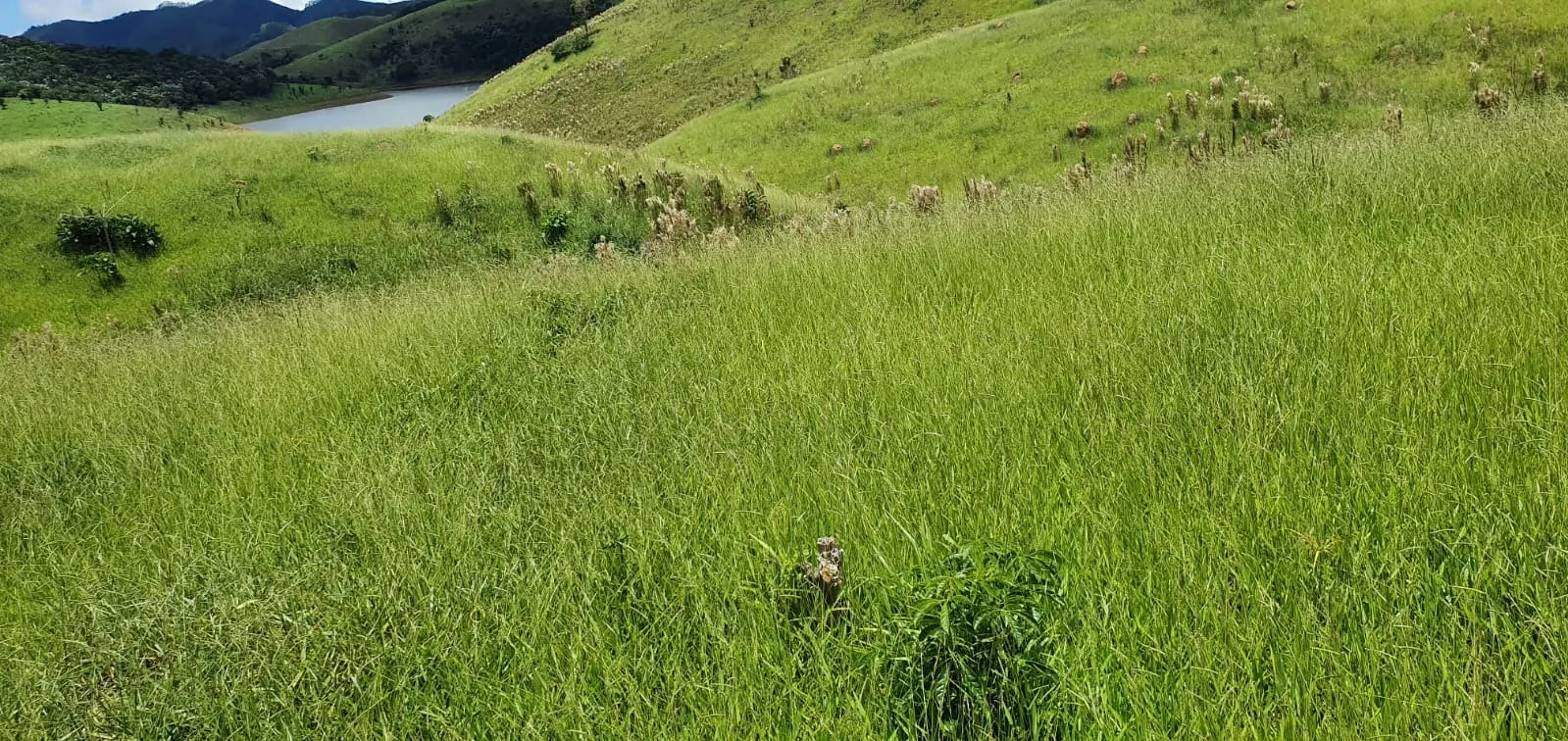Fazenda à venda de 339 ha em Natividade da Serra, SP, Brasil