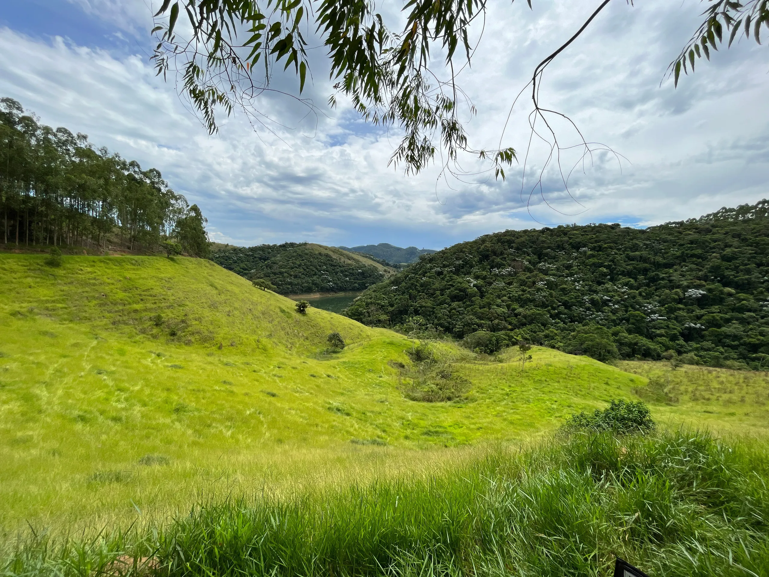 Fazenda à venda de 339 ha em Natividade da Serra, SP, Brasil