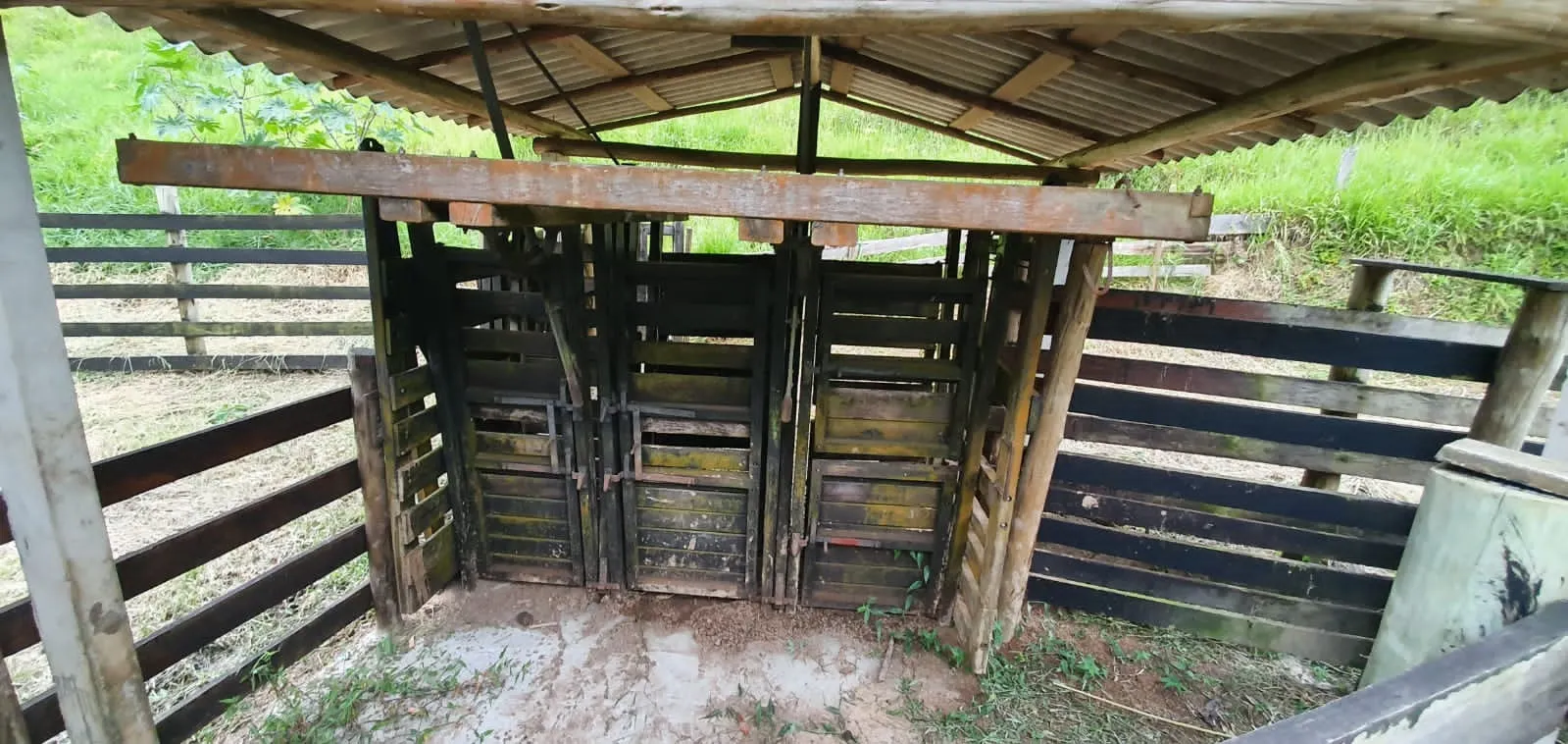 Fazenda à venda de 339 ha em Natividade da Serra, SP, Brasil