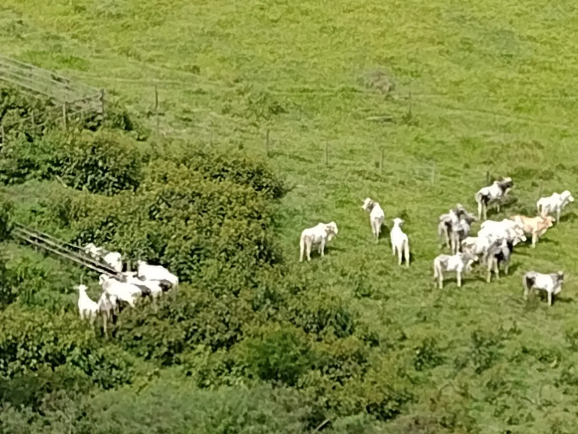 Fazenda à venda de 339 ha em Natividade da Serra, SP, Brasil