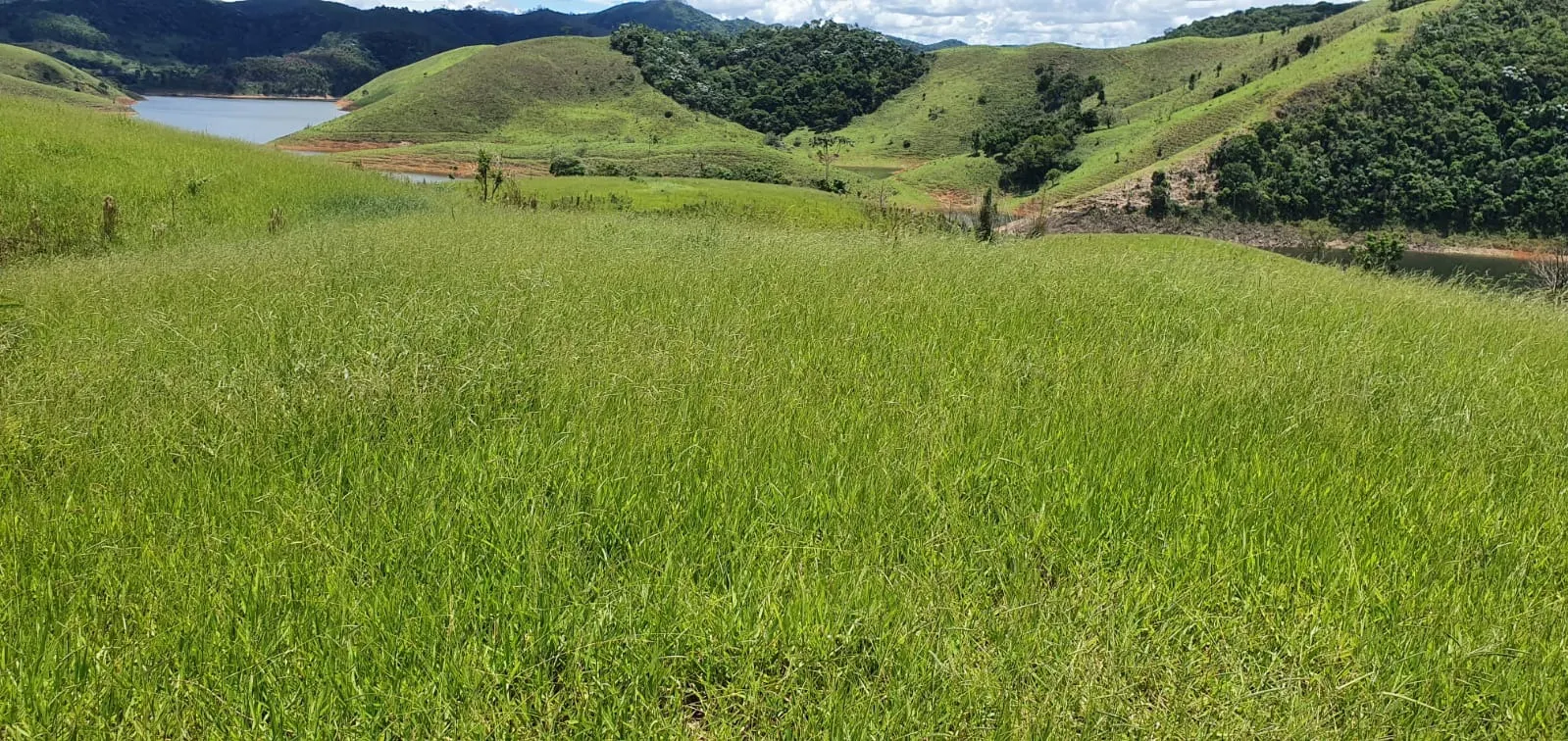 Fazenda à venda de 339 ha em Natividade da Serra, SP, Brasil