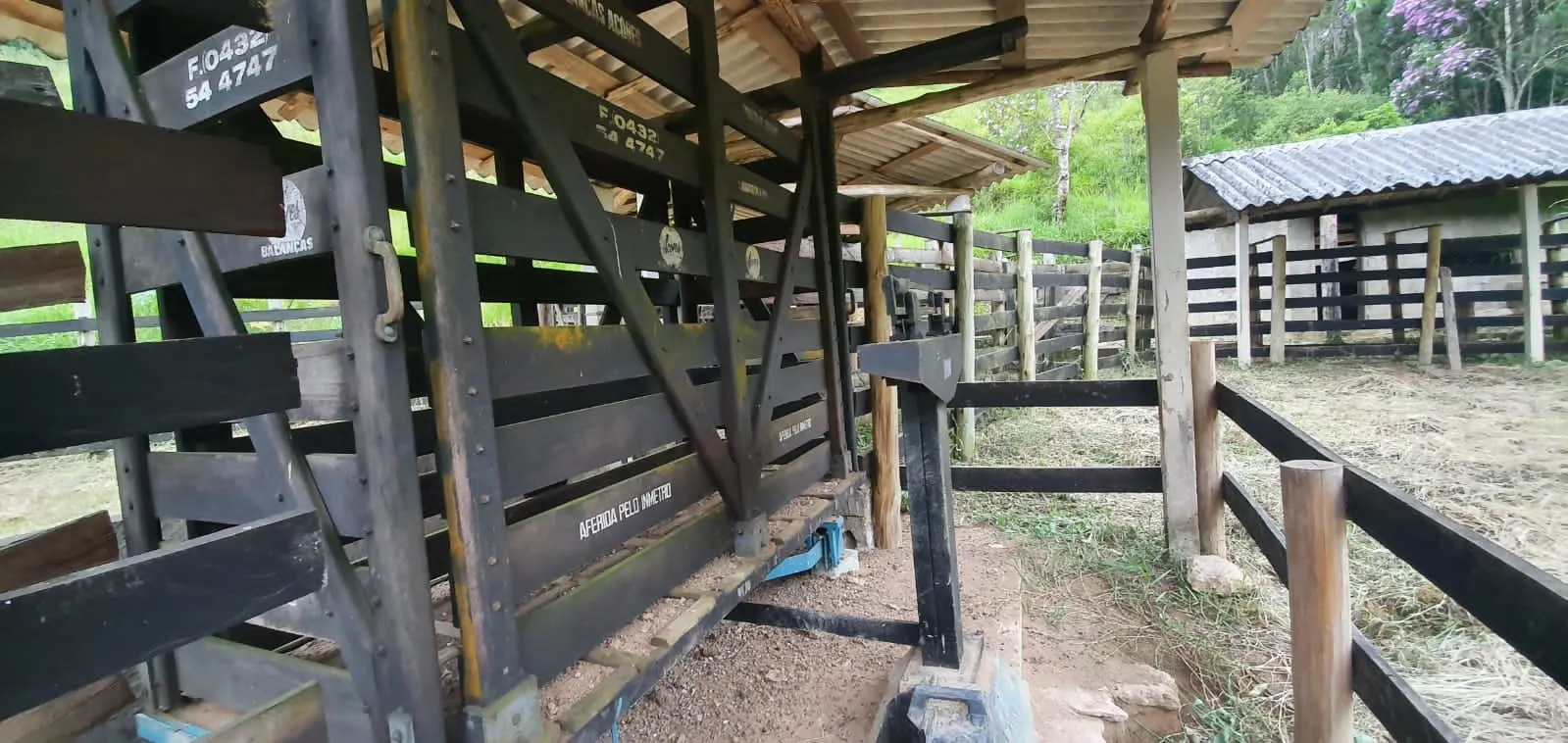Fazenda à venda de 339 ha em Natividade da Serra, SP, Brasil