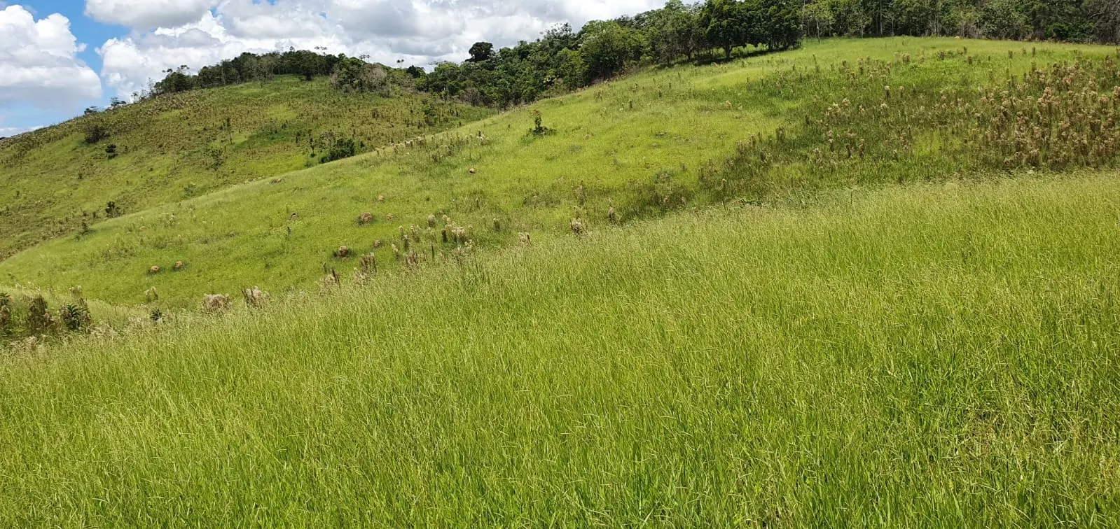 Fazenda à venda de 339 ha em Natividade da Serra, SP, Brasil