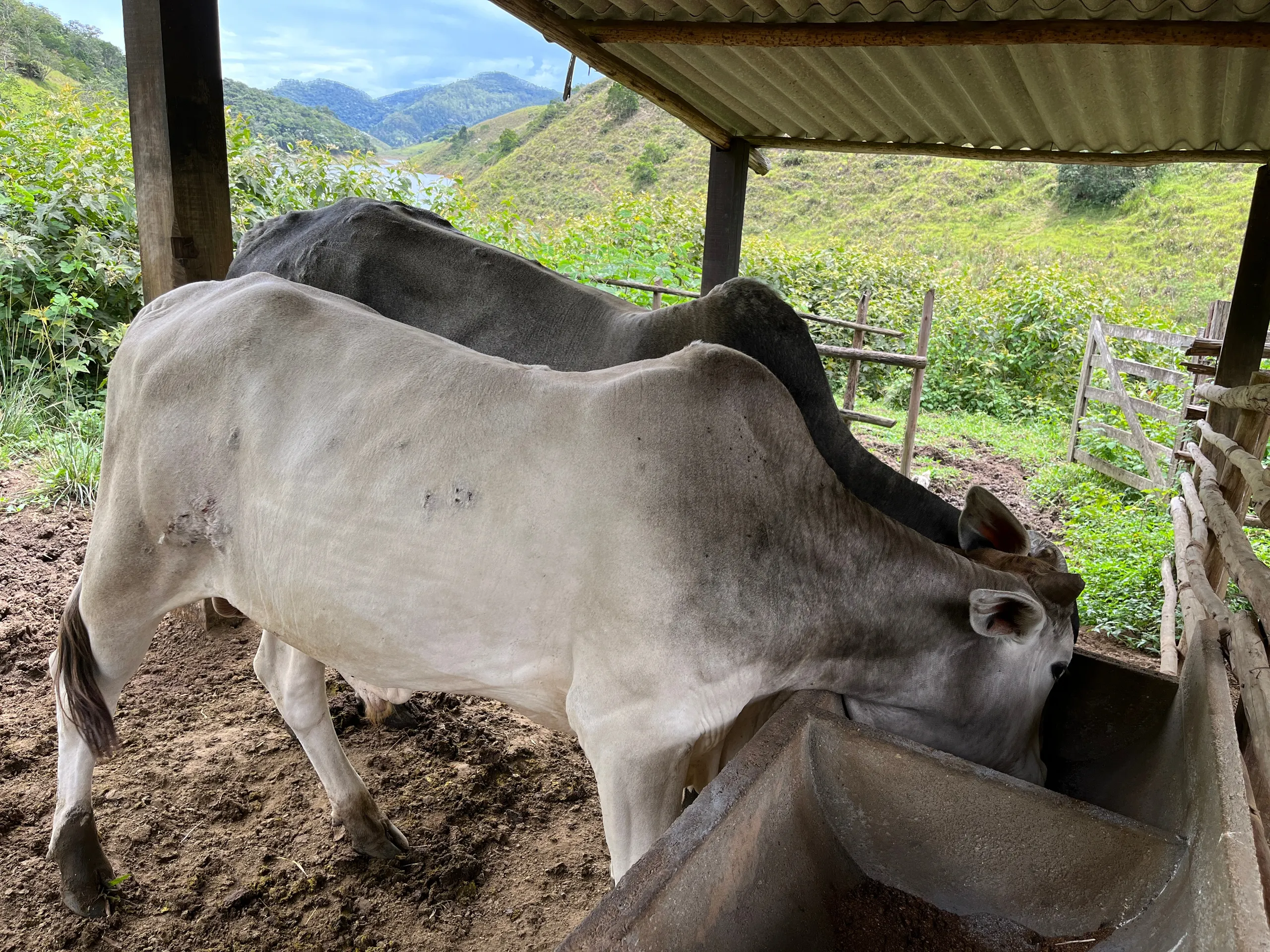 Fazenda à venda de 339 ha em Natividade da Serra, SP, Brasil