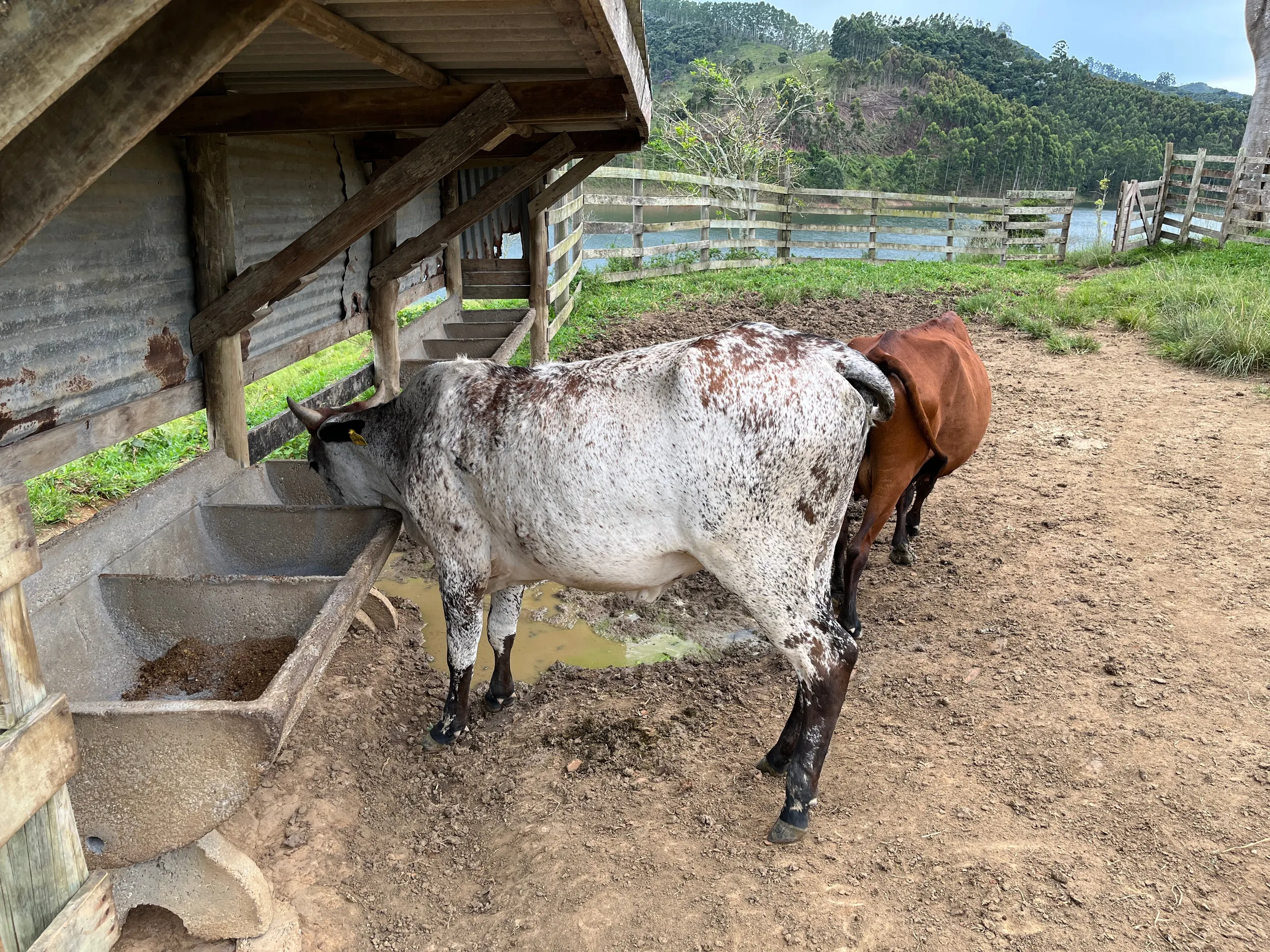 Fazenda à venda de 339 ha em Natividade da Serra, SP, Brasil