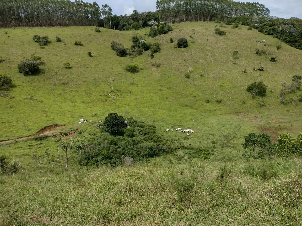 Fazenda à venda de 339 ha em Natividade da Serra, SP, Brasil