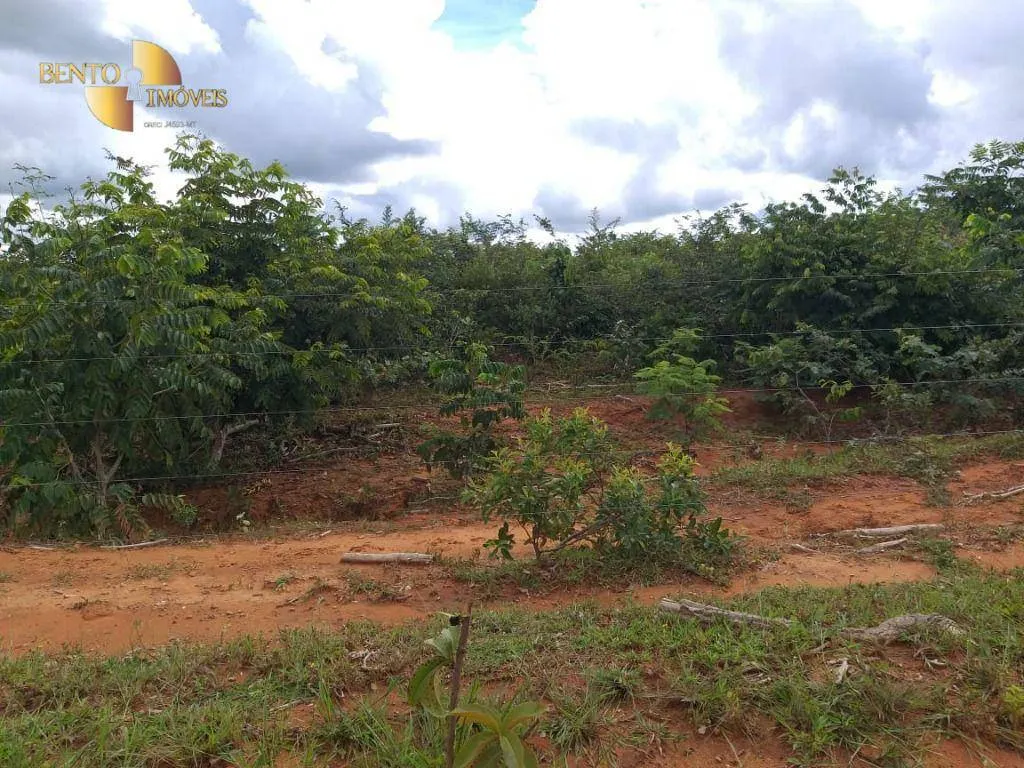 Fazenda à venda de 2.126 ha em Tesouro, MT, Brasil