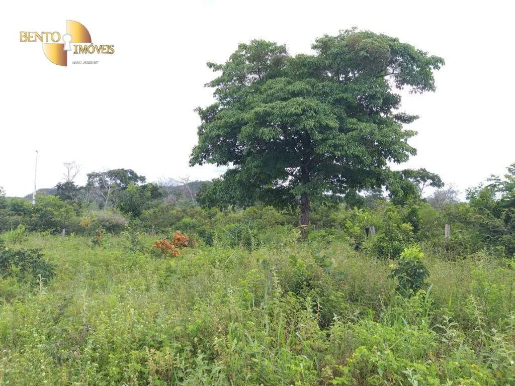 Fazenda à venda de 2.126 ha em Tesouro, MT, Brasil