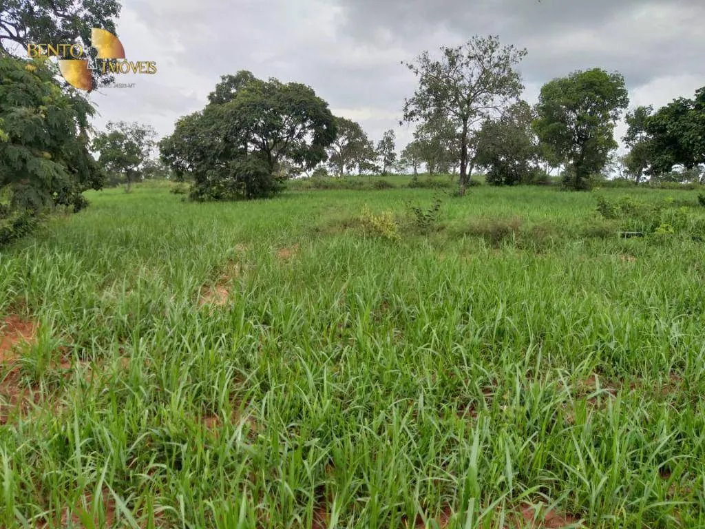 Fazenda à venda de 2.126 ha em Tesouro, MT, Brasil